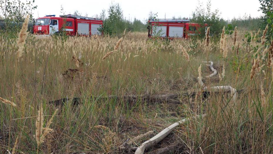 Большая часть Воронежской области оказалась в зоне максимальной пожарной опасности