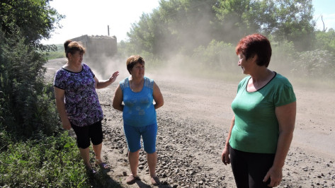 Воронежские селяне пожаловались на пыль от строящейся железной дороги в обход Украины