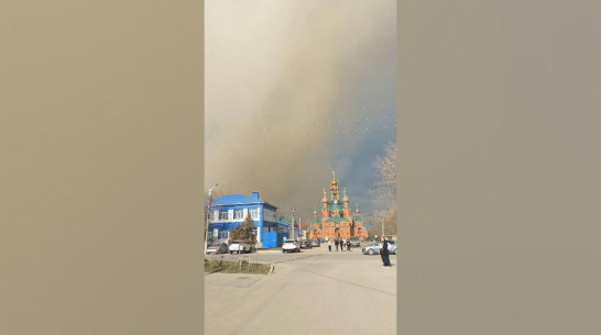 Воронежцы сообщили о сильном дыме в районе парка в Семилуках