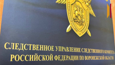 В центре Воронежа на женщину упала часть фасада дома