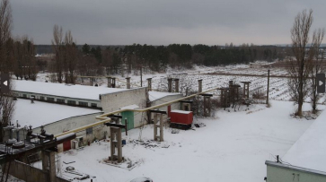 Земли Воронежского тепличного комбината выставили на торги за 2 млрд рублей