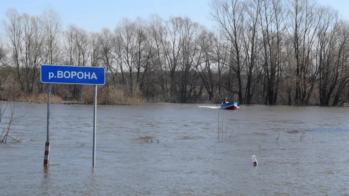 Лодочную переправу открыли на реке Ворона в Грибановском районе