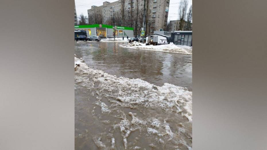 Из-за резкого потепления Воронеж затопило: фото и видео