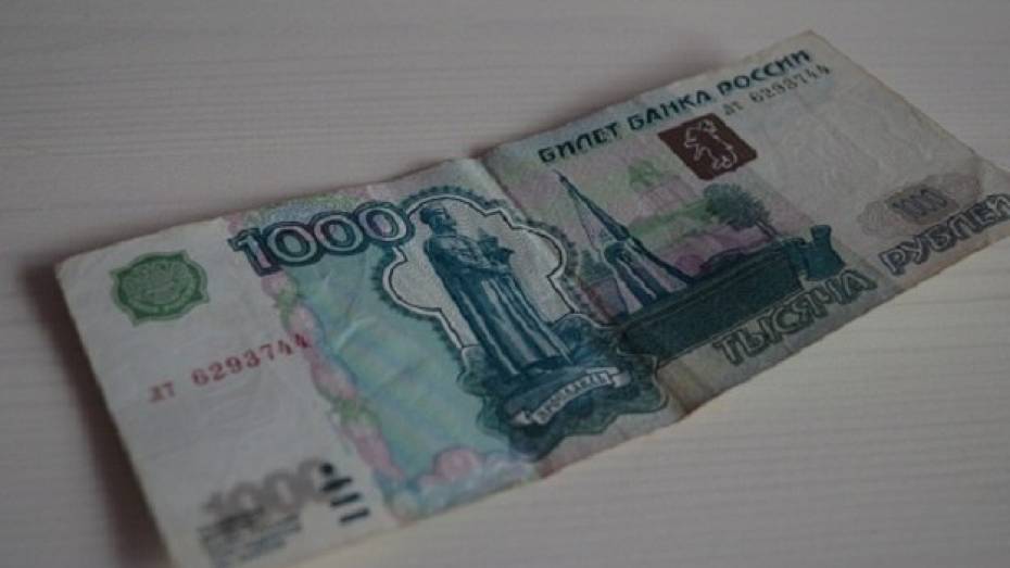 Несовершеннолетний воронежец залез в чужой дом ради тысячи рублей
