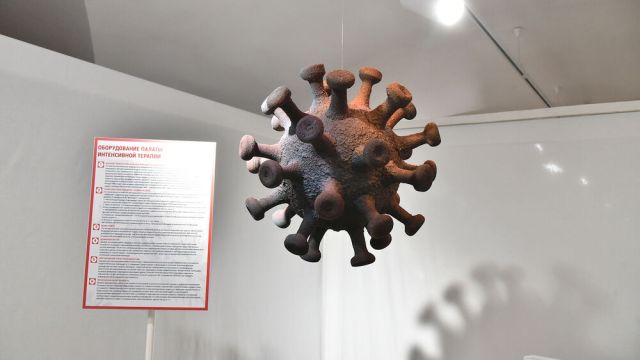 Глава Роспотребнадзора: переболевшие COVID-19 защищены от «британского» штамма