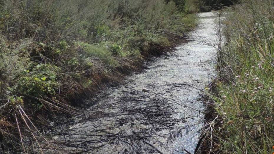 В Воронежской области нефтебаза загрязнила почву