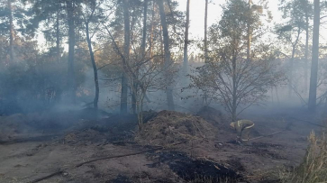 Нарушителей противопожарного режима в Рамонском районе оштрафовали на 570 тыс рублей