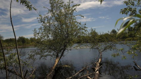В Воронежской области нашли тело мужчины в пруду Сельхозтехника