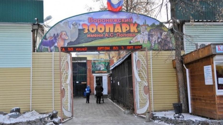 Воронежский зоопарк отменил новогодние каникулы 