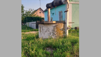 Активисты восстановят 2 заброшенных колодца в семилукском селе Медвежье