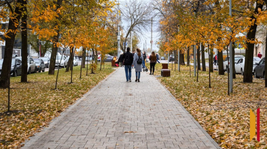 Воронежцам рассказали о погоде на октябрь 2025 года