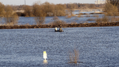 Экологи оценили состояние воронежской реки Усманка как удовлетворительное