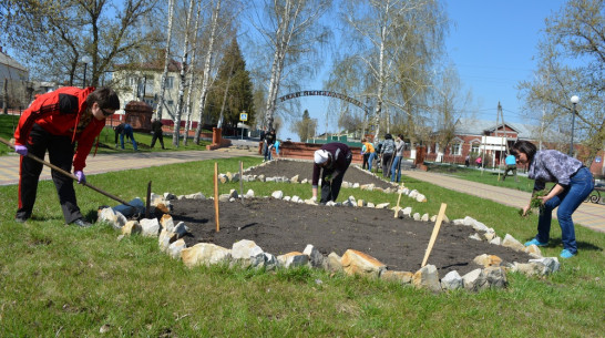 На главной аллее нижнедевицкого парка высадят более 4,5 тыс петуний