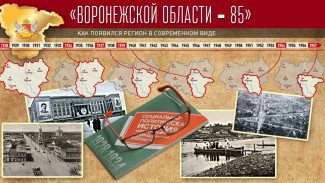 Проект «Воронежской области – 85». Как появился регион в современном виде