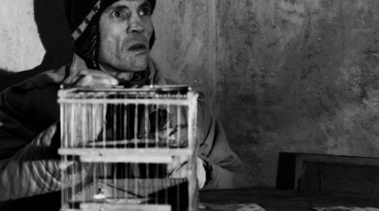 Воронежский артхаус «Гомункул» покажут в Москве и Санкт-Петербурге