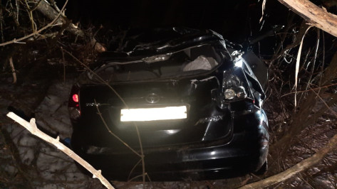 В Воронежской области Toyota вылетела в кювет и врезалась в дерево: водитель погиб