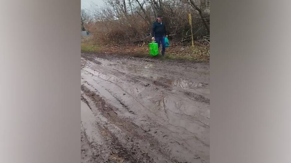 Жители воронежского села Рыкань пожаловались на тотальное бездорожье