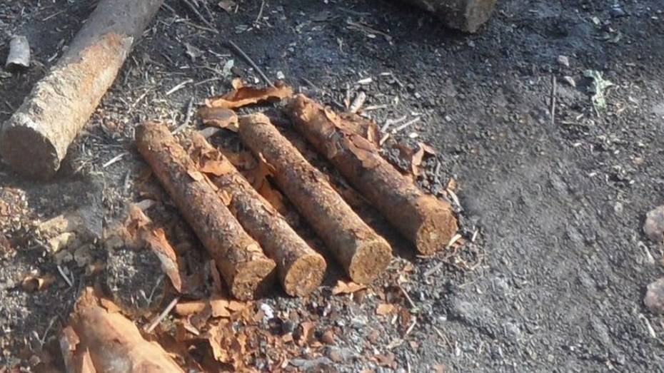 На сахзаводе в Воронежской области в свекле нашли боеприпасы