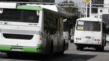 В Воронеже водитель автобуса поругался с пассажирами из-за ребенка с велосипедом: видео