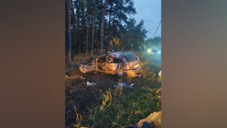 В Воронеже 47-летний мужчина погиб в опрокинувшемся Chevrolet Rezzo