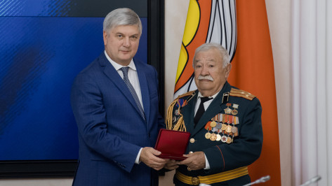 Губернатор Александр Гусев наградил воронежцев за особые профессиональные успехи