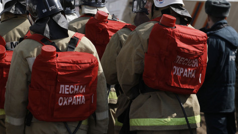 Пожароопасный режим в лесах Воронежской области завершен