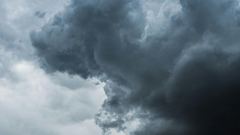 Минобороны: в Воронежской области уничтожили 22 беспилотника