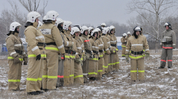 Усиленную подготовку к борьбе с лесными пожарами провели в Воронежской области