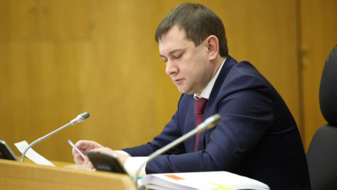 Председатель Воронежской облдумы прокомментировал Послание президента Федеральному Собранию