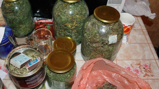 Житель Воронежской области «законсервировал» марихуану в стеклянных банках