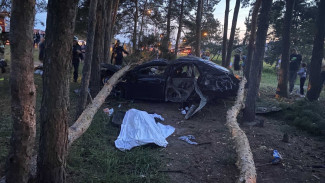 Ford снес опору ЛЭП: водитель погиб, пассажир в больнице