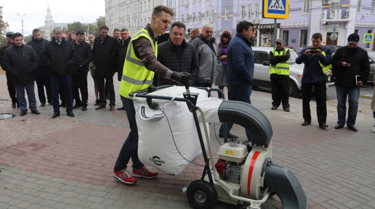 Мэрия Воронежа частично покроет дефицит дворников уборочной мини-техникой