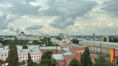 Воронежская область улучшила позиции в нацрейтинге состояния инвестиционного климата