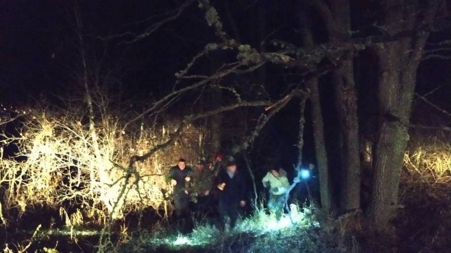 Заблудившегося под Воронежем 80-летнего грибника нашли живым в болоте