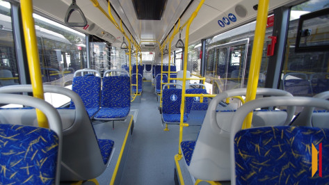 Как изменится ситуация с общественным транспортом Воронежа после повышения стоимости проезда