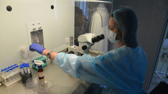 Заболеваемость сальмонеллезом выросла на 50% в Воронежской области