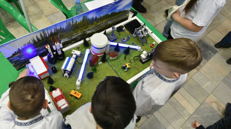 Юным воронежцам помогут выбрать будущую профессию