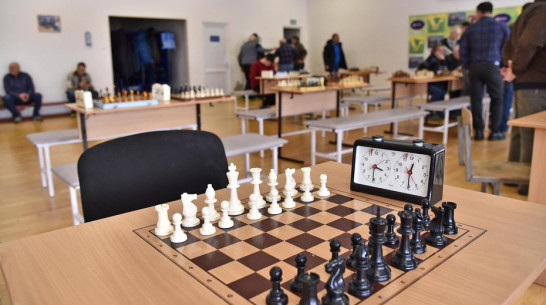 Бутурлиновский шахматист выиграл кубок главы Богучарского района