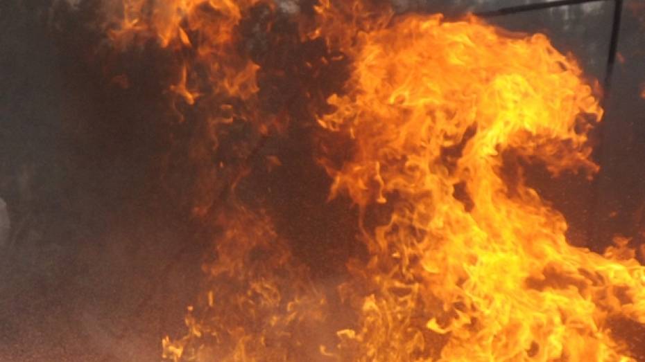 В Воронежской области женщина спалила дом бывшему сожителю, чтобы отомстить 