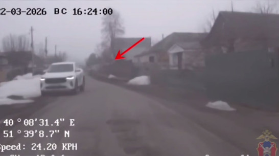 В Воронежской области пьяный водитель хотел уехать от полицейских