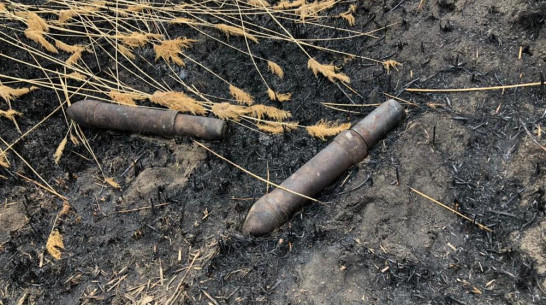 Немецкие реактивные снаряды обнаружили в овраге рядом с воронежским поселком