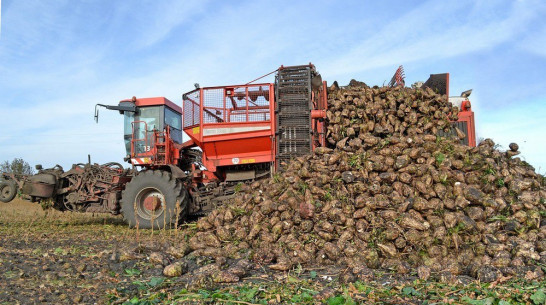 Воронежские аграрии в 2015 году произвели продукции на 200 млрд рублей
