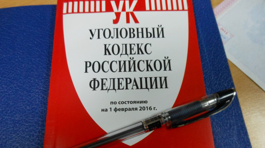 Подгоренские полицейские поймали похитителя гаджетов спустя год