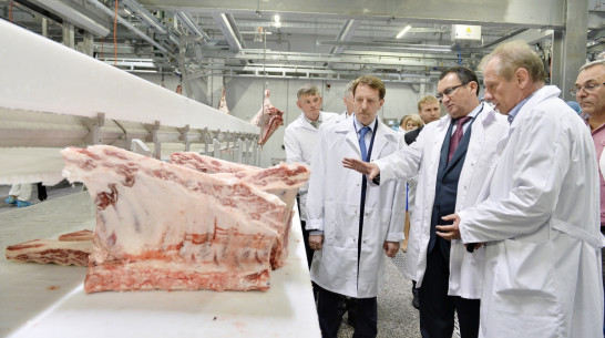 Воронежский мясной кластер начал продажи мраморной говядины