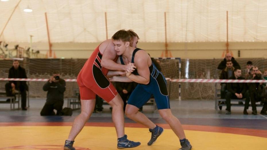 Губернатор Алексей Гордеев проконтролирует подготовку воронежского чемпионата по борьбе