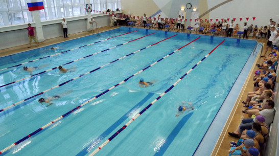 Сотрудник Воронежского госуниверситета стал призером чемпионата Голландии по плаванию