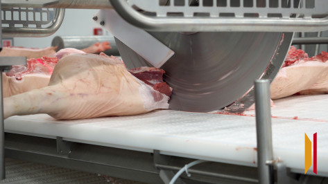 Не проводилась уборка и летали мухи: в Воронеже приостановили работу мясного предприятия