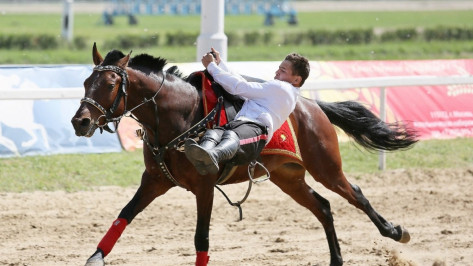 Кубок России по джигитовке впервые пройдет в Воронеже