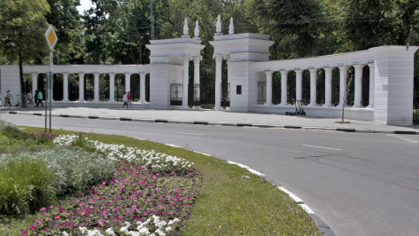 В Воронеже опубликовали программу июльских мероприятий в парке «Орленок»
