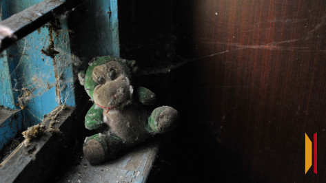 В Воронежской области 58-летний мужчина получил условный срок за избиение внуков